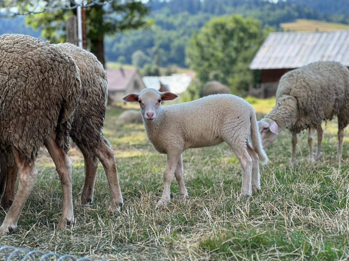 Penzion Hrubjak Oravská Polhora Buitenkant foto